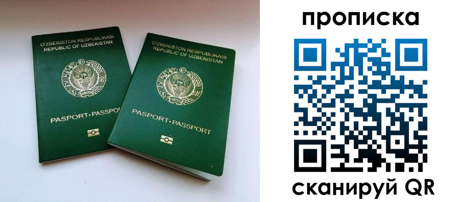прописка поиск в Лесозаводске